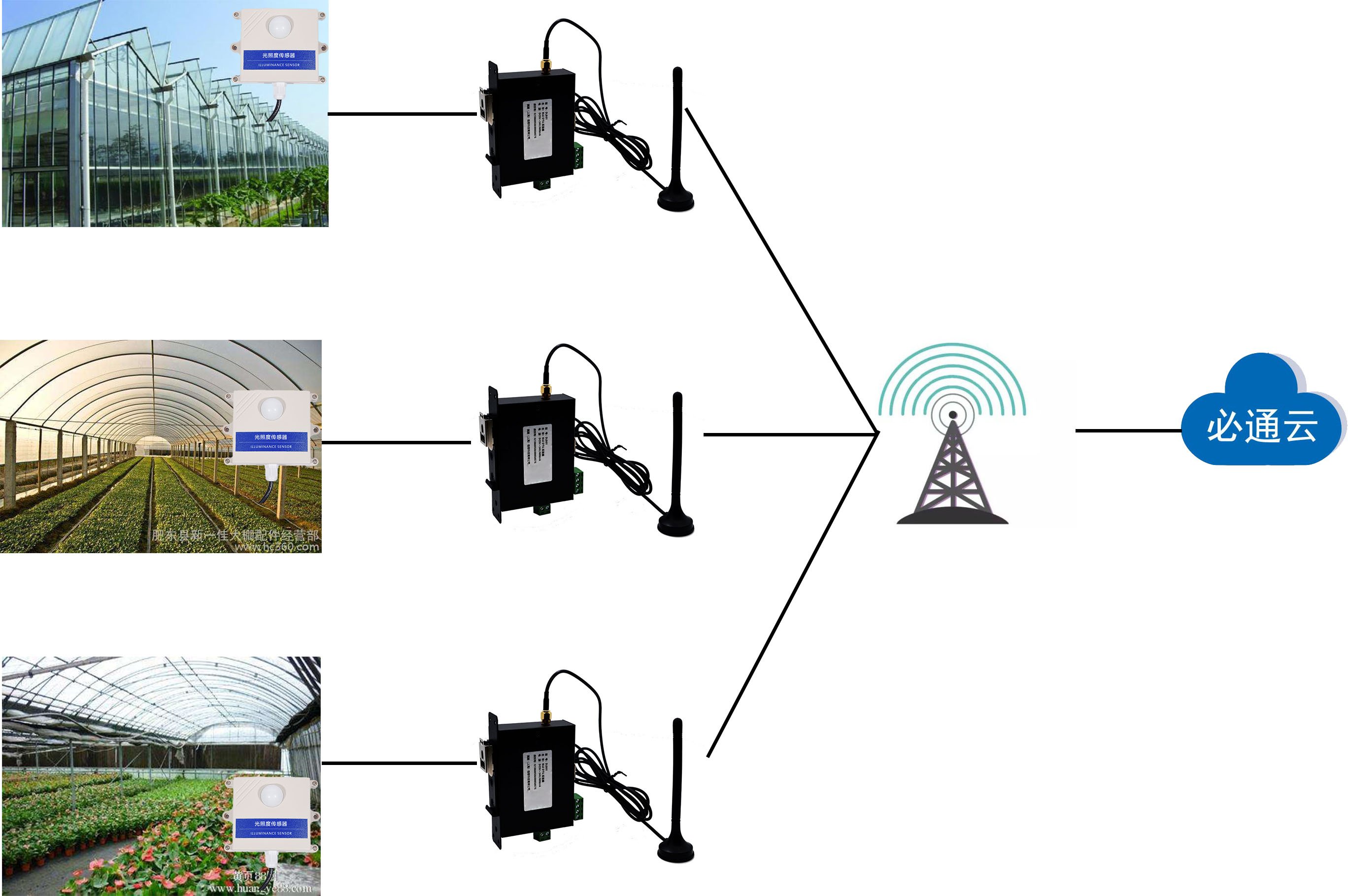 农业大棚光照传感器智能监测方案